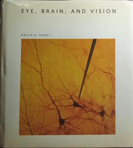 EYE, BRAIN, AND VISION. [AUTOGRAFO]