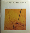 EYE, BRAIN, AND VISION. [AUTOGRAFO]