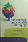 A INTELIGÊNCIA EMOCIAONAL DE UMA EQUIPA.