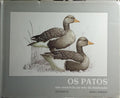 OS PATOS, UM EXERCÍCIO NA ARTE DA ILUSTRAÇÃO.