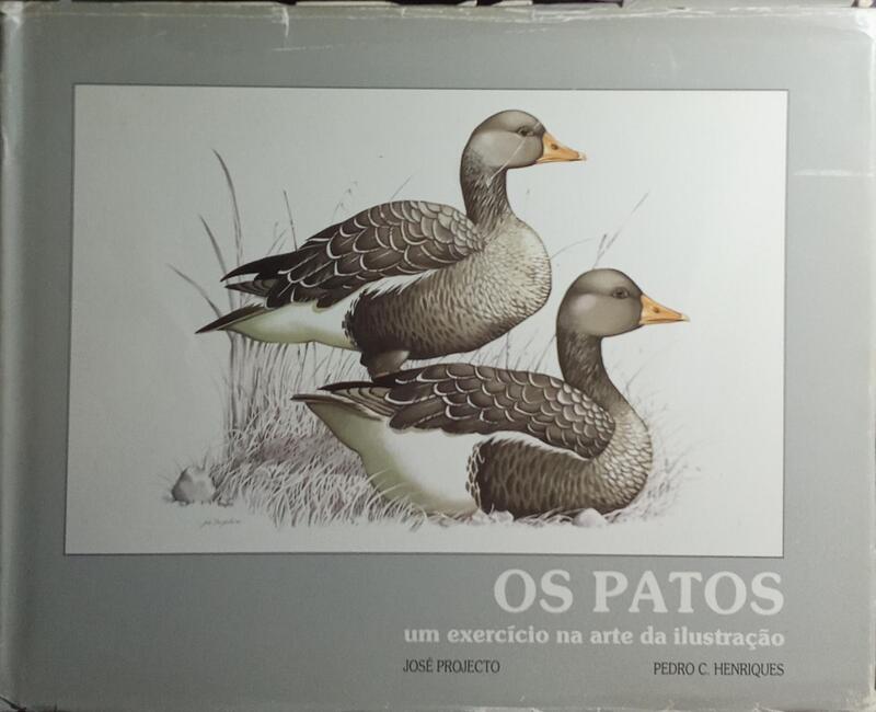 OS PATOS, UM EXERCÍCIO NA ARTE DA ILUSTRAÇÃO.