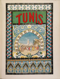 TUNIS ET SES ENVIRONS.