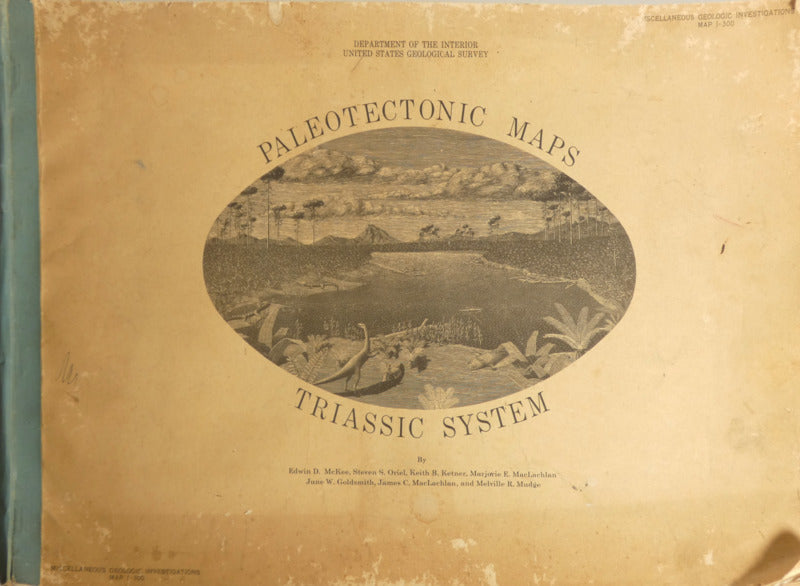 PALEOTECTONIC MAPS OF THE TRIASSIC SYSTEM.
