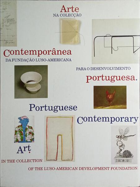 ARTE CONTEMPORÂNEA PORTUGUESA NA COLECÇÃO DA FUNDAÇÃO LUSO-AMERICANA PARA O DESENVOLVIMENTO.