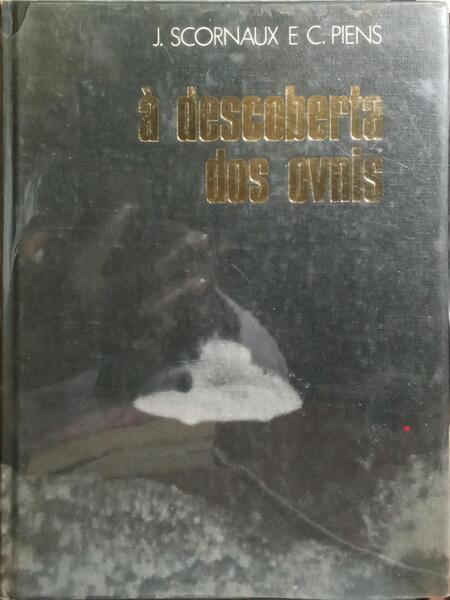 À DESCOBERTA DOS OVNIS.