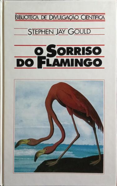 O SORRISO DO FLAMINGO.