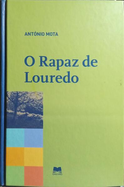O RAPAZ DE LOUREDO.