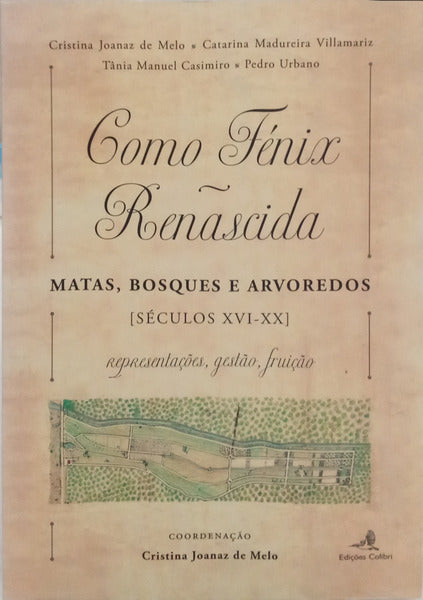 COMO FÉNIX RENASCIDA.