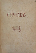 MARQUÉS DE LOZOYA. CHIMENEAS.