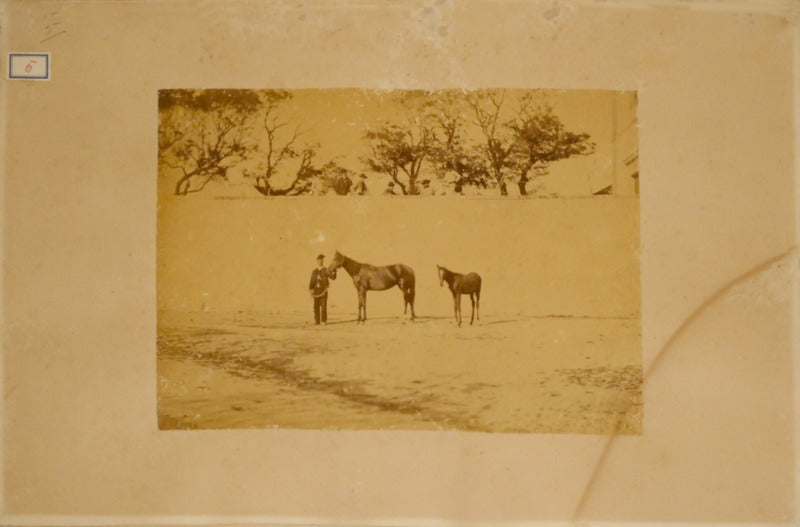 FOTOGRAFIAS DA ANTIGA QUINTA REGIONAL DE SINTRA (GRANJA DO MARQUÊS). [ÁLBUM FOTOGRÁFICO]
