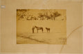 FOTOGRAFIAS DA ANTIGA QUINTA REGIONAL DE SINTRA (GRANJA DO MARQUÊS). [ÁLBUM FOTOGRÁFICO]