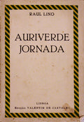 AURIVERDE JORNADA: RECORDAÃ‡Ã•ES DE UMA VIAGEM AO BRASIL.