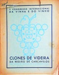 CLONES DE VIDEIRA DA REGIÃƒO DE CARCAVELOS.