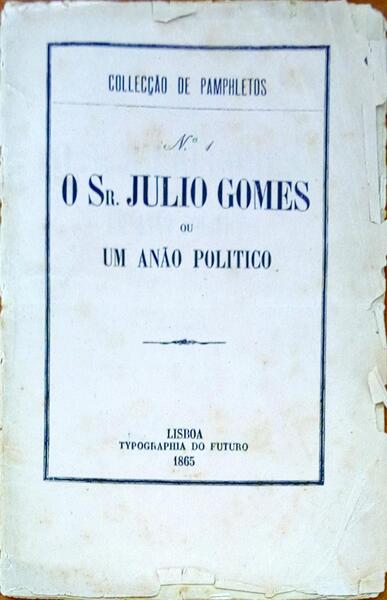 O SR. JULIO GOMES OU UM ANÃƒO POLITICO.