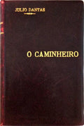 O CAMINHEIRO.