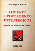 FOMENTO E POVOAMENTO ESTRATÃ‰GICOS. SOLUÃ‡ÃƒO DO PROBLEMA DE ANGOLA?