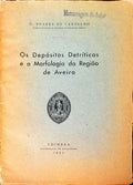 OS DEPÃ“SITOS DETRÃTICOS E A MORFOLOGIA DA REGIÃƒO DE AVEIRO.
