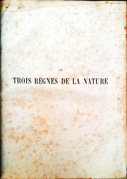 LES TROIS RÃˆGNES DE LA NATURE.