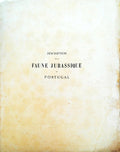 DESCRIPTION DE LA FAUNE JURASSIQUE DU PORTUGAL. POLYPIERS DU JURASSIQUE SUPÃ‰RIEUR.