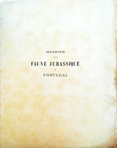 DESCRIPTION DE LA FAUNE JURASSIQUE DU PORTUGAL. POLYPIERS DU JURASSIQUE SUPÃ‰RIEUR.