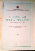 A HIBRIDAÃ‡ÃƒO ARTIFICIAL NO ARROZ.