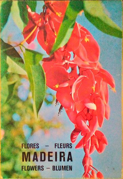 MADEIRA. PLANTAS E FLORES. PLANTES ET FLEURES. PLANTS AND FLOWERS. PFLANZEN UND BLUMEN.