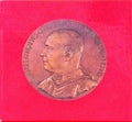 D. MANUEL GONÃ‡ALVES CEREJEIRA CARDEAL-PATRIARCA DE LISBOA. IN MEMORIAM.