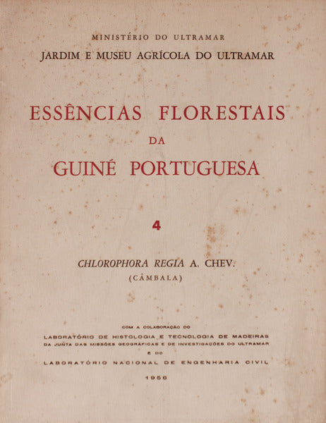 ESSÃŠNCIAS FLORESTAIS DA GUINÃ‰ PORTUGUESA. Chlorophora Regia A. Chev. (CÃ¢mbala)