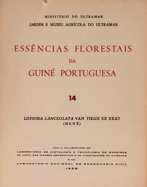 ESSÃŠNCIAS FLORESTAIS DA GUINÃ‰ PORTUGUESA. Lophira Lanceolata Van Tiegh Ex Keay (MenÃ©)